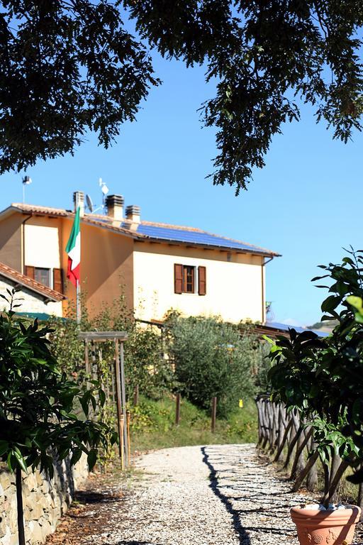 Agriturismo La Coccinella Valfabbrica Kültér fotó