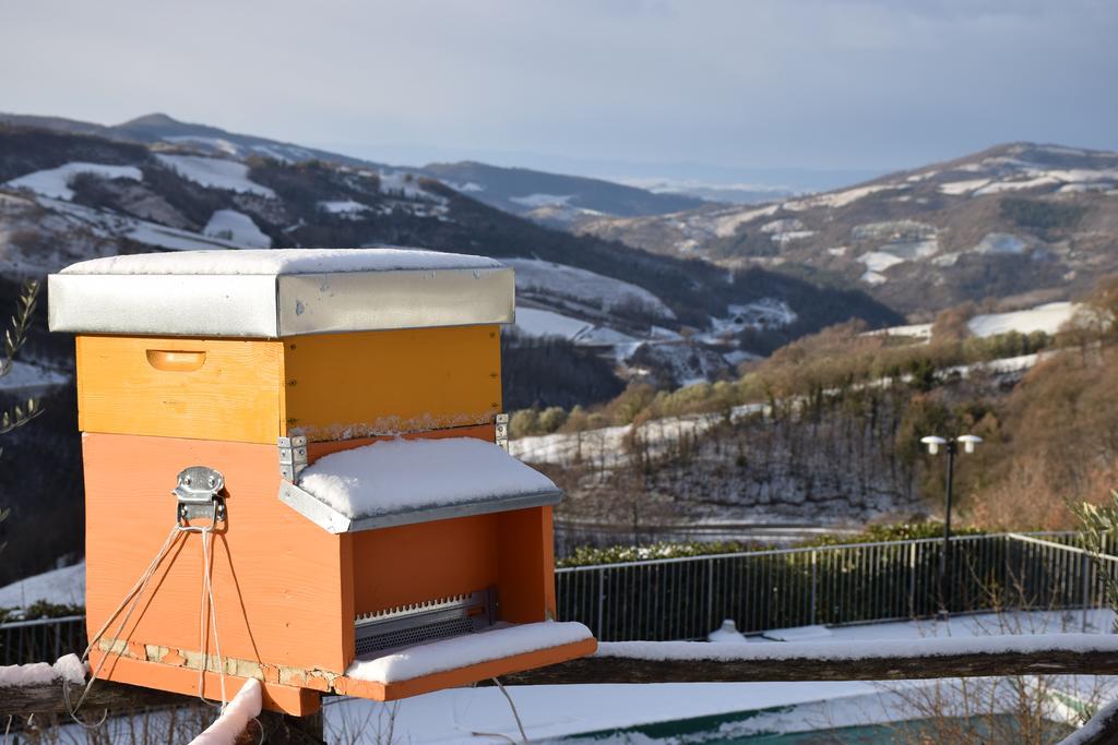 Agriturismo La Coccinella Valfabbrica Kültér fotó
